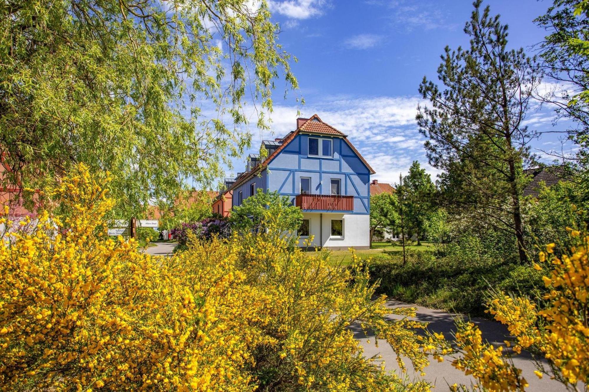 Holiday Complex Beech Resort Fleesensee G Hren Lebbin Göhren-Lebbin Exterior foto