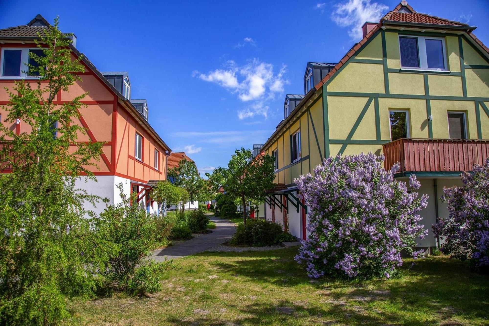 Holiday Complex Beech Resort Fleesensee G Hren Lebbin Göhren-Lebbin Exterior foto